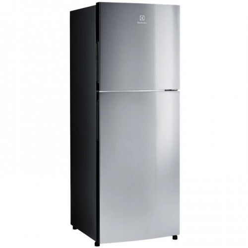 Tủ lạnh 256L Electrolux ETB2802J-A - Bạc 